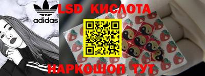 гидропоника Шебекино