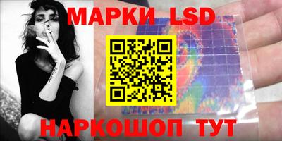 гидропоника Шебекино