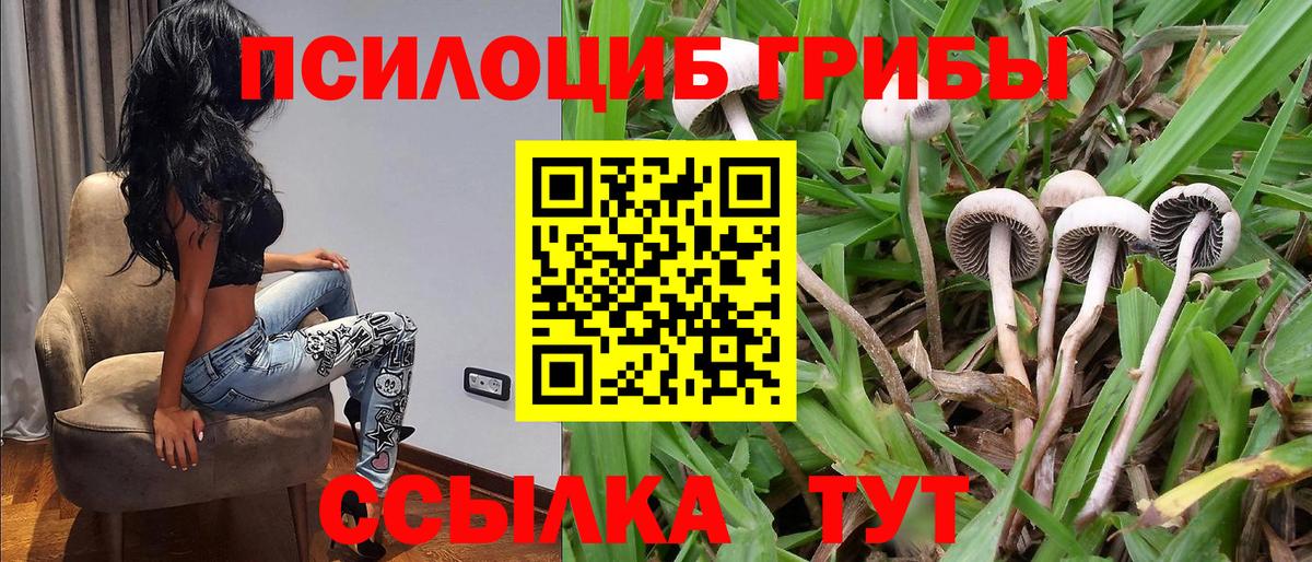 Псилоцибиновые грибы ЛСД  Вход с VPN  Бийск 